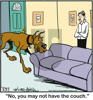 Marmaduke on Wednesday March 31, 2021 Comic Strip
