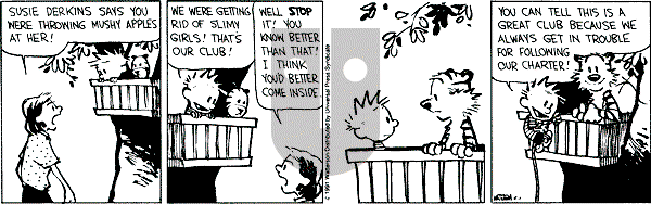 Calvin and Hobbes - Wednesday May 1, 1991 Comic Strip