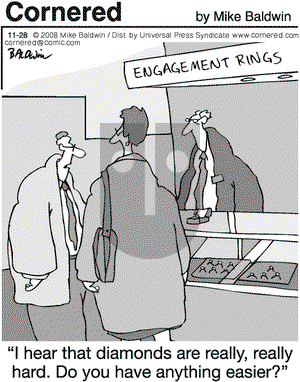 Cornered on Friday November 28, 2008 Comic Strip