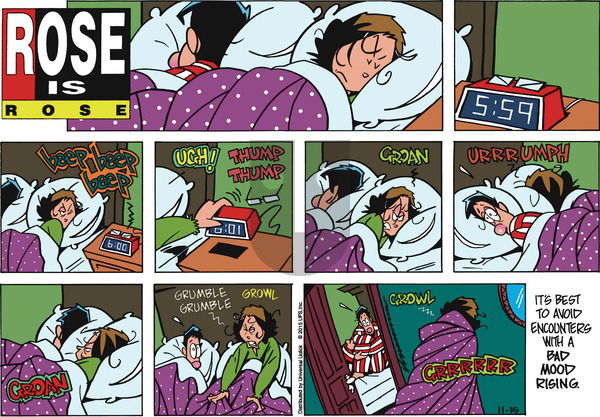 Rose is Rose - Sunday November 15, 2015 Comic Strip