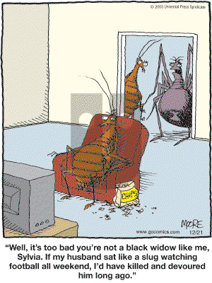 In the Bleachers - Friday December 21, 2007 Comic Strip