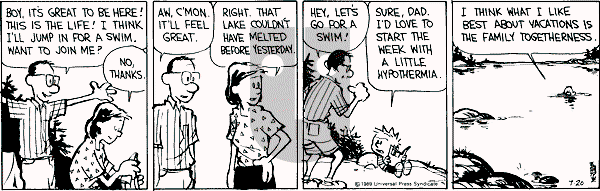 Calvin and Hobbes - Thursday July 20, 1989 Comic Strip