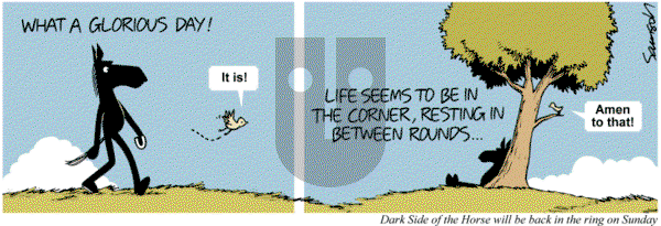 Dark Side of the Horse on Friday February 28, 2014 Comic Strip