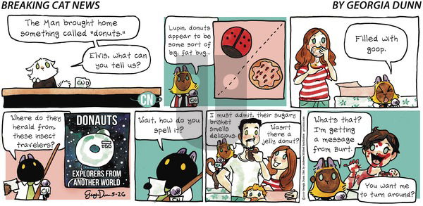 Breaking Cat News on Sunday May 26, 2019 Comic Strip