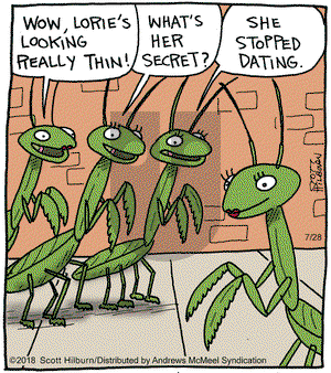 The Argyle Sweater on Saturday July 28, 2018 Comic Strip