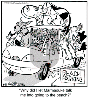 Marmaduke on Tuesday August 24, 1999 Comic Strip