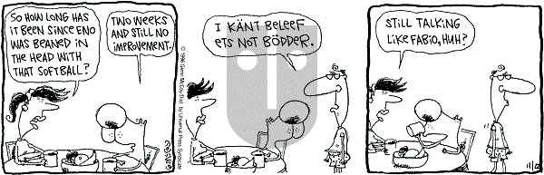 The Duplex on Friday November 22, 1996 Comic Strip
