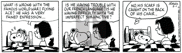 Peanuts on Wednesday February 1, 1989 Comic Strip