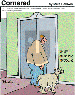 Cornered - Saturday December 17, 2011 Comic Strip