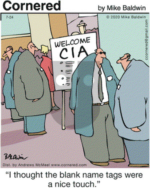 Cornered on Friday July 24, 2020 Comic Strip