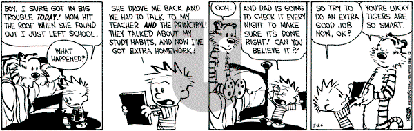 Calvin and Hobbes on Saturday May 26, 1990 Comic Strip