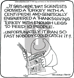 Ziggy on Thursday November 27, 1997 Comic Strip