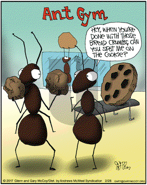 The Flying McCoys on Tuesday February 28, 2017 Comic Strip