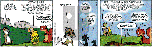 Over the Hedge on Saturday June 5, 2010 Comic Strip
