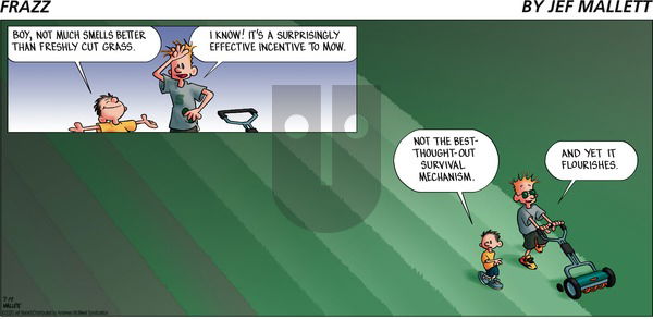 Frazz on Sunday July 19, 2020 Comic Strip