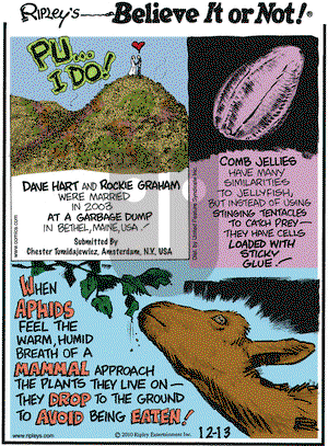 Ripley's Believe It or Not on Monday December 13, 2010 Comic Strip