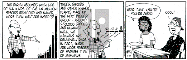 Luann on Tuesday November 19, 1996 Comic Strip