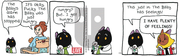 Breaking Cat News on Saturday July 8, 2017 Comic Strip