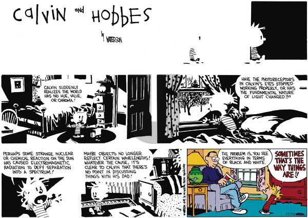 Calvin and Hobbes on Sunday February 3, 1991 Comic Strip