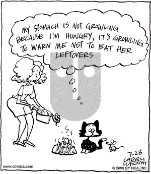 Kit 'N' Carlyle on Friday July 28, 2000 Comic Strip