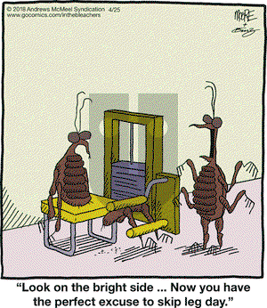 In the Bleachers on Wednesday April 25, 2018 Comic Strip