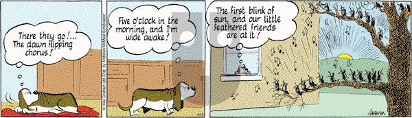 Fred Basset on Tuesday April 15, 2025 Comic Strip