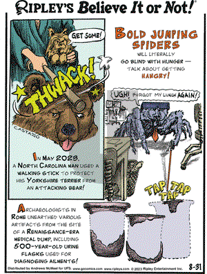 Ripley's Believe It or Not - Thursday August 31, 2023 Comic Strip