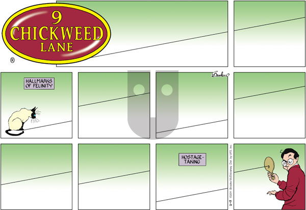 9 Chickweed Lane on Sunday February 13, 2011 Comic Strip