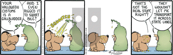 DeFlocked on Tuesday October 19, 2010 Comic Strip