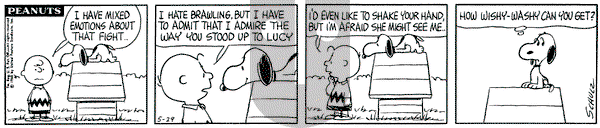 Peanuts on Saturday May 29, 1965 Comic Strip