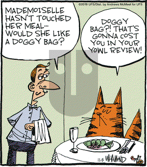 Reality Check on Tuesday November 5, 2019 Comic Strip
