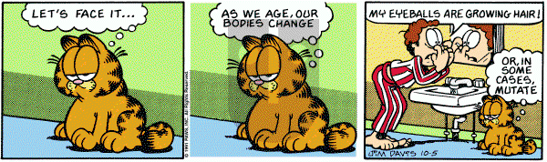 Garfield on Tuesday May 23, 1995 Comic Strip