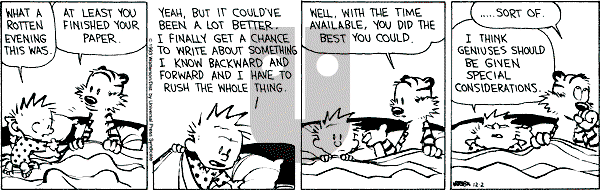 Calvin and Hobbes - Thursday December 2, 1993 Comic Strip