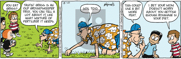 Cleats on Wednesday August 21, 2002 Comic Strip
