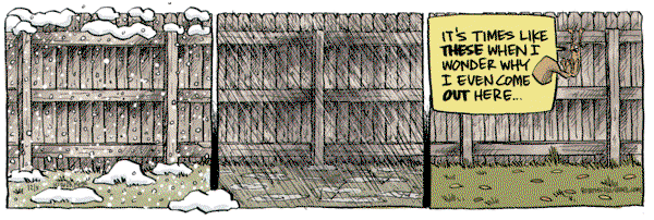 Bob the Squirrel - Tuesday December 5, 2023 Comic Strip