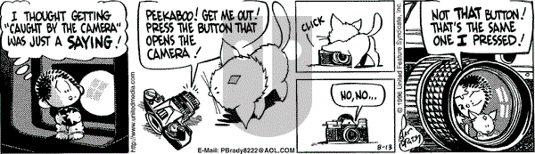 Rose is Rose on Tuesday August 13, 1996 Comic Strip