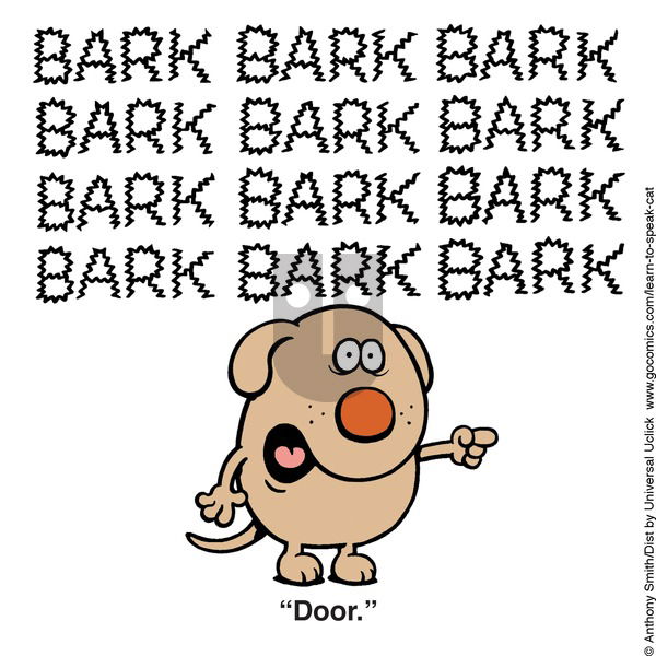 Learn to Speak Cat on Sunday February 9, 2025 Comic Strip