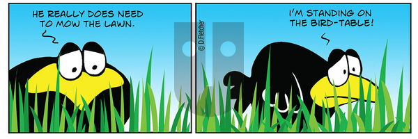 Crumb on Tuesday February 25, 2025 Comic Strip
