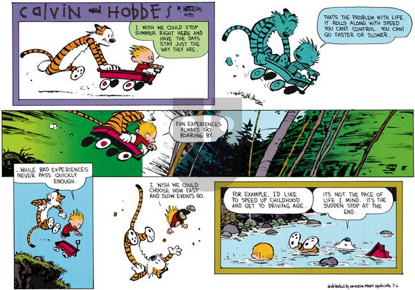 Calvin and Hobbes on Sunday August 22, 1993 Comic Strip