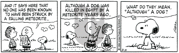 Peanuts on Thursday March 31, 1994 Comic Strip
