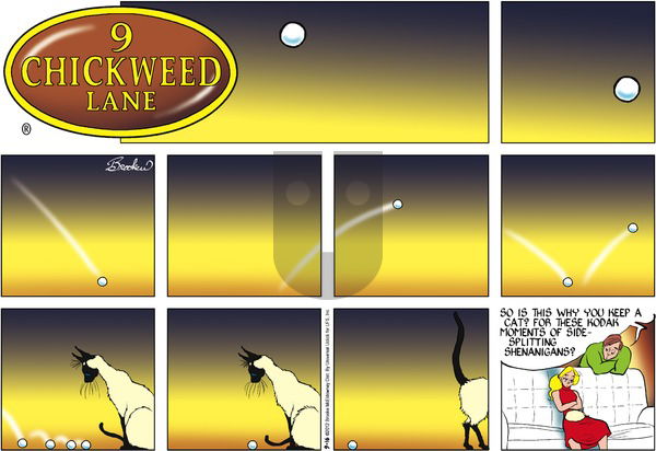 9 Chickweed Lane on Sunday September 16, 2012 Comic Strip