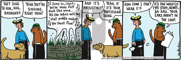Overboard on Thursday August 4, 2016 Comic Strip
