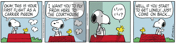 Peanuts on Wednesday June 4, 2025 Comic Strip