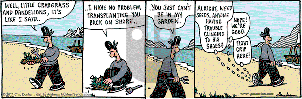 Overboard on Tuesday July 4, 2017 Comic Strip
