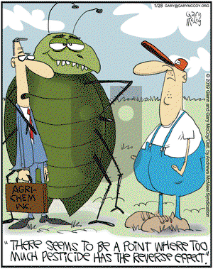 The Flying McCoys on Monday January 28, 2019 Comic Strip