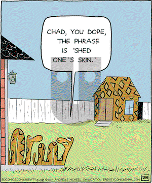 Brevity on Saturday August 12, 2017 Comic Strip