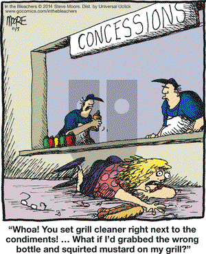 In the Bleachers on Wednesday November 5, 2014 Comic Strip