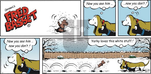 Fred Basset on Sunday February 2, 2020 Comic Strip