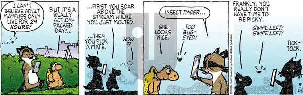 Over the Hedge on Wednesday May 24, 2017 Comic Strip