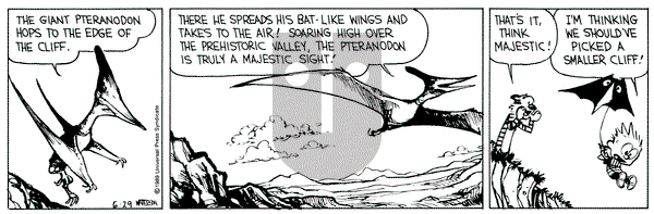 Calvin and Hobbes on Thursday June 29, 1989 Comic Strip